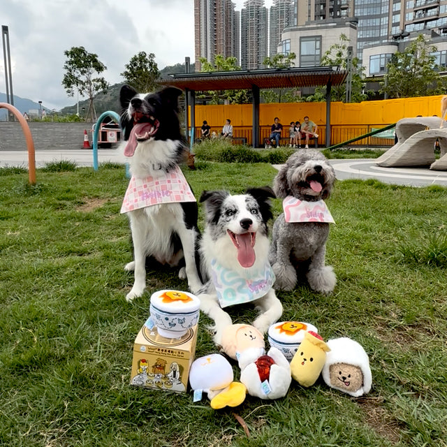 Woof² | 香港茶樓點心系列寵物玩具盲盒 1套5盒（無重複）+ 蒸籠玩具1個